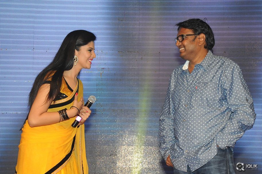 Hora-Hori-Movie-Audio-Launch